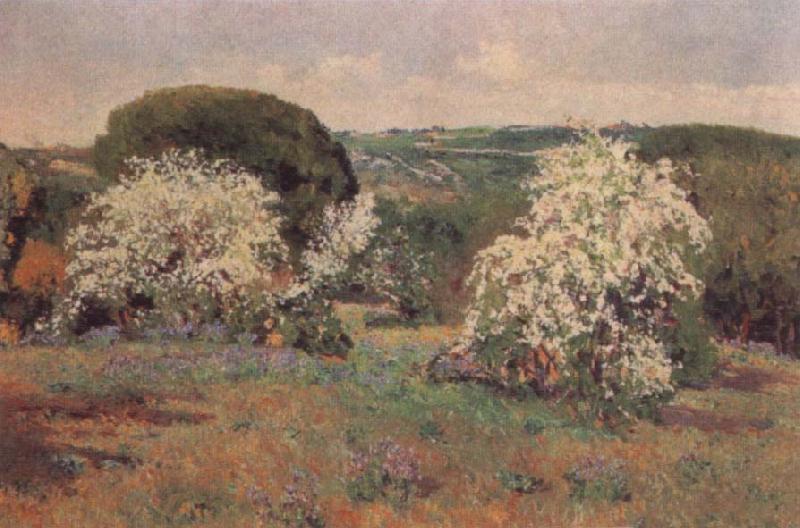 Aureliano De Beruete Y Moret Hawthorn in Blossom oil painting image